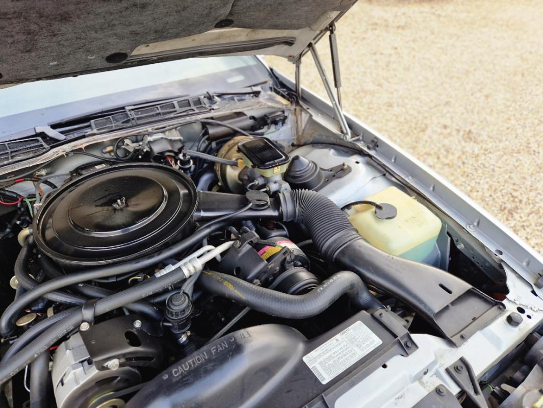 Chevrolet Camaro - Z28 5.0L V8